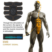 Wireless EMS Abdominal